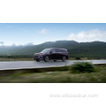 VOYAH Left Hand 4 wheel Electric EV Cars